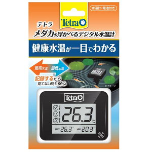 eg@_Jׂ̕fW^v@yMыEANAE/vz