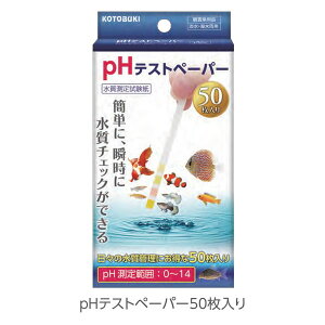 RguL@pHeXgy[p[@50@莎