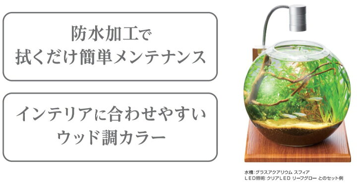 完全送料無料 ジェックス グラスベース メープル0 コンパクト水槽用 木目専用プレート ライトスタンド付 メープル Riosmauricio Com