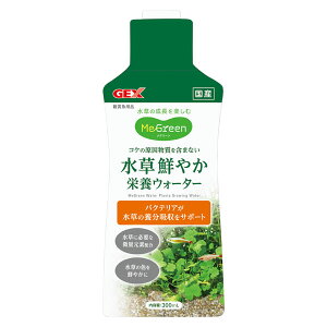 GEX@MeGreen(O[)@N₩h{EH[^[@300ml@yMыEANAE//Ǘpi/엿E琬z