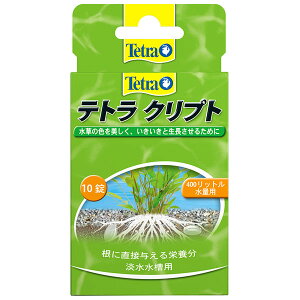 eg@Nvg@10@̐i@Wp@yMыEANAE//Ǘpi/엿E琬z