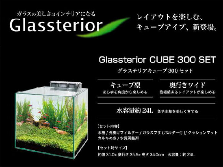 楽天市場】GEX グラステリア キューブ300セット : トロピカル 