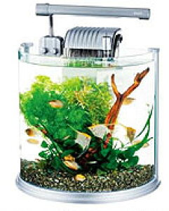 ミニ 水槽セットの人気商品 通販 価格比較 価格 Com