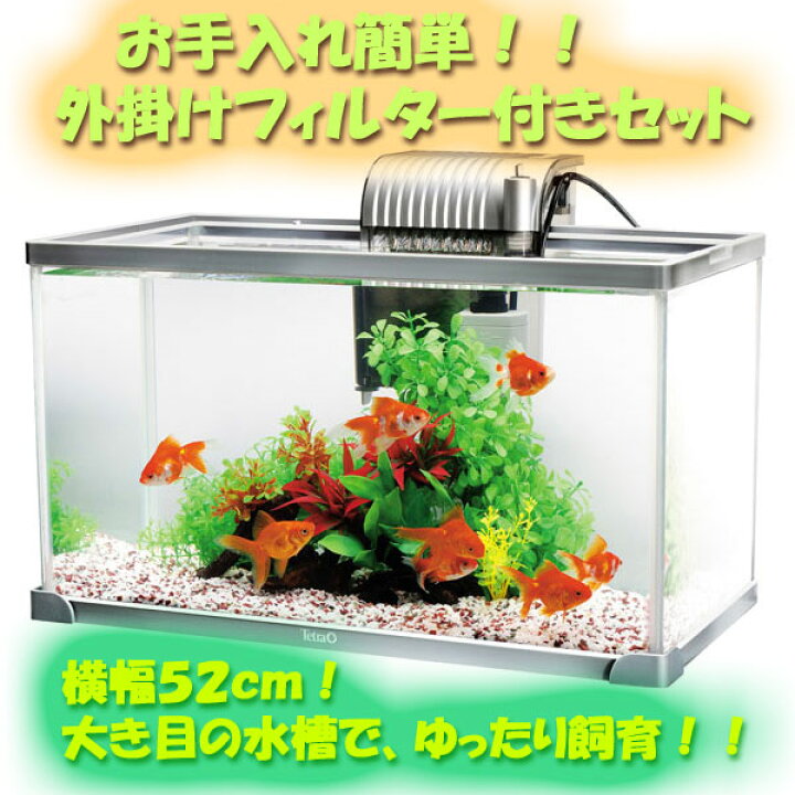 楽天市場 テトラ アクアリウム セット ａｇ ５２ｇｆ お手入れ簡単 外掛けフィルター付きセット トロピカルワールド楽天市場店