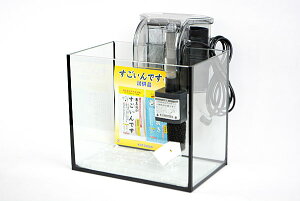 レグラス 水槽 25の人気商品 通販 価格比較 価格 Com レグラス 水槽 25の人気商品 通販 価格比較 価格 Com