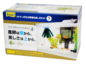 eg@_J̔ɐByރZbg@S