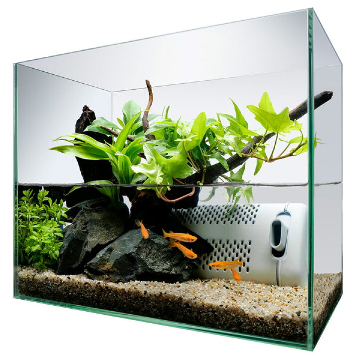 楽天市場 テトラ サイレントフレックスセット ３０ 30cmフレームレスガラス水槽 水中フィルター トロピカルワールド楽天市場店