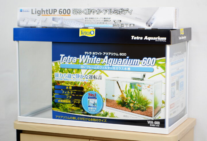 楽天市場 テトラ ホワイトアクアリウム６００ ｌｅｄライトセット 60cm観賞魚飼育水槽セット トロピカルワールド楽天市場店