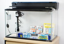 楽天市場】60cm 水槽 セットの通販