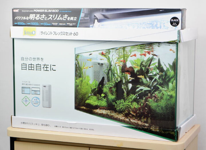 楽天市場 テトラ サイレントフレックスセット６０ ｌｅｄライト 60cmフレームレスガラス水槽 水中フィルター Ledライト トロピカルワールド楽天市場店