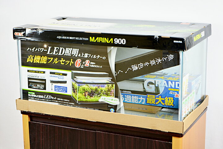 楽天市場】【送料無料】 GEX マリーナ90cm水槽 熱帯魚飼育11 