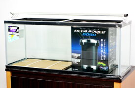 楽天市場 900 Gex クリアled パワー3の通販