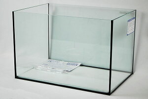 RguL@OXtbg@F|450@ubNVRdl@yMыEANAE/EANAE/ z