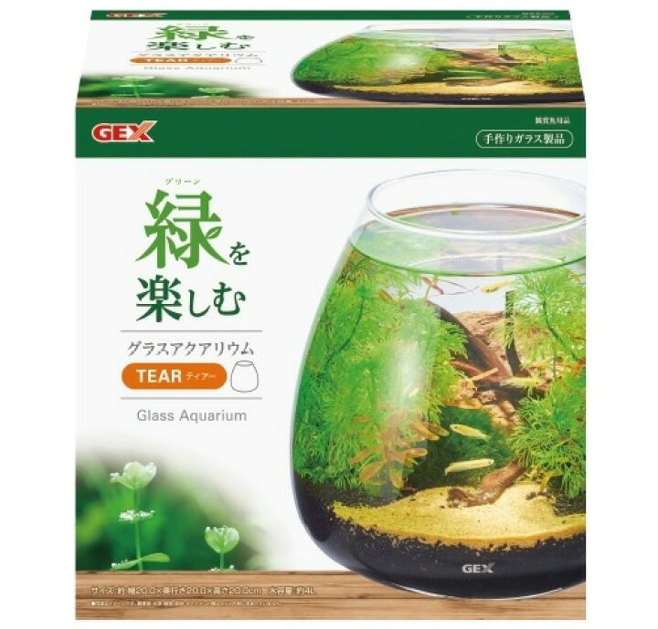 楽天市場 ｇｅｘ グラスアクアリウム ティアー 水草インテリア ガラス製 トロピカルワールド楽天市場店