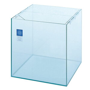 yz@RguL@OXtbg@F|450EX@ykCEEAʓrz