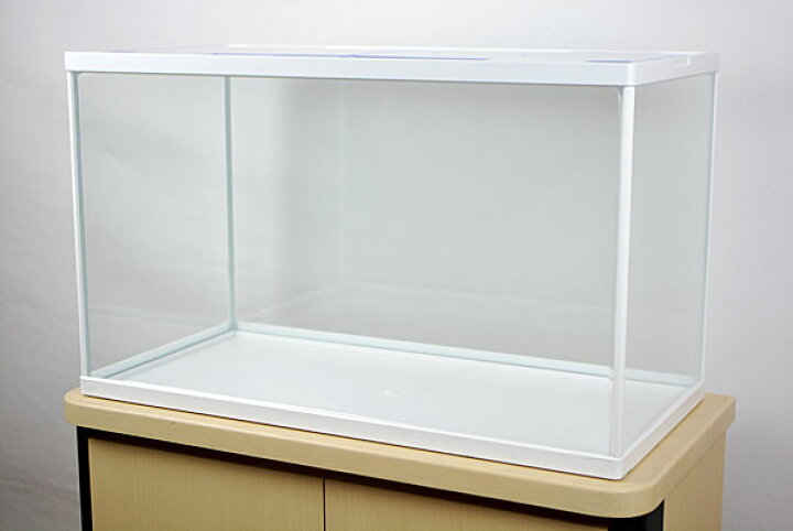 買い物 テトラ アクアリウム ａｇ ５２ ５２cmガラス水槽 熱帯魚 水槽 Shipsctc Org