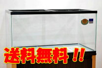 楽天市場】コトブキ900×450水槽の通販
