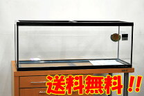 楽天市場】水槽 濾過 900の通販