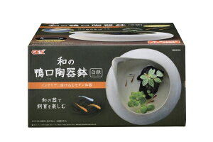 鉢 陶器鉢 白 熱帯魚 アクアリウム用品の人気商品 通販 価格比較 価格 Com 鉢 陶器鉢 白 熱帯魚 アクアリウム用品の人気商品 通販 価格比較 価格 Com