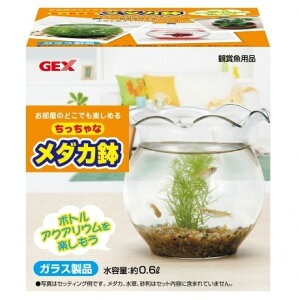 メダカ 水槽 鉢の人気商品 通販 価格比較 価格 Com