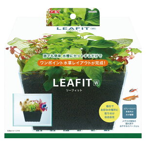 GEX@[ttBbg@W@琬p^P[X