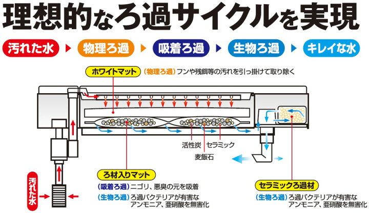 楽天市場 ｇｅｘ デュアルクリーン６００ Dc 600 60cm水槽用上部フィルター トロピカルワールド楽天市場店