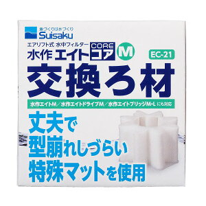 GCgRAM@ށ@EC-21@yMыEANAE/EANAE/tB^[EGA[V/tB^[z