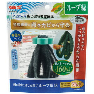 GEX メダカ元気 卵のお守り産卵床 ループ 緑 【熱帯魚・アクアリウム/産卵用品】