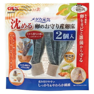 GEX@_JC@߂闑̂Y@2@yMыEANAE/Ypiz