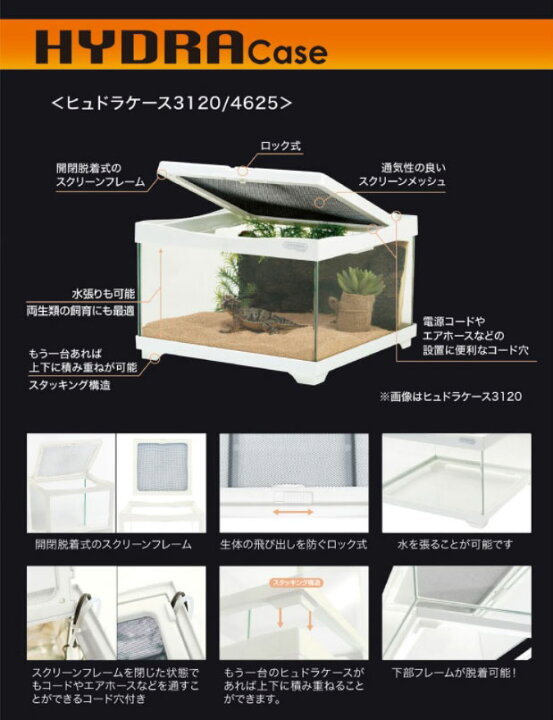 楽天市場】コトブキ ヒュドラケース4625 爬虫類・両生類飼育ケース 