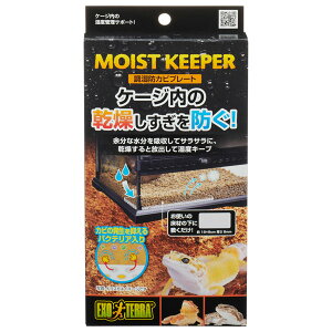 GEX エキゾテラ 調湿防カビプレート 爬虫類用