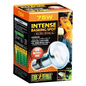 GEX@GL]e@TO[@^Cgr[@75W@y঒ށE/ƖExǗObYz