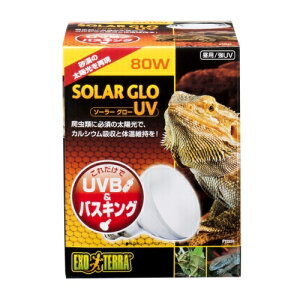 GEX@GL]e@\[[O[UV@80W@UVBoXLO