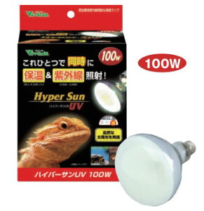 roA@nCp[TUV@100W@঒ޗpOƎˁۉv