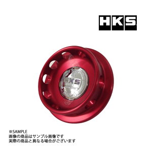 HKS rbg IC tB[Lbv 24003-AN001 gXg z_ (213121013