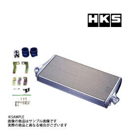 HKS インタークーラー スカイラインGT-R BNR32 R type I/C 13001-AN007 トラスト企画 ニッサン (213121568