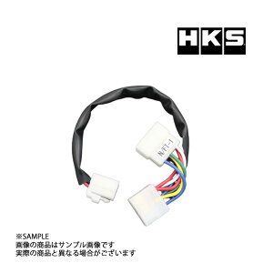 HKS ^[{ ^C}[ n[lX [ C34 4103-RN001 gXg jbT (213161068