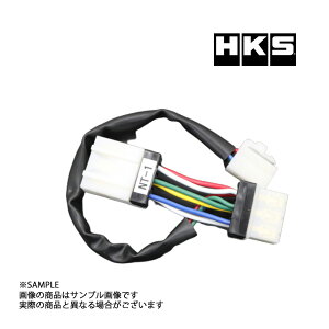 HKS ^[{ ^C}[ n[lX S V(N)W30 4103-RN002 gXg jbT (213161069