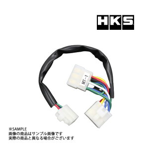 [ HKS ^[{ ^C}[ n[lX pWF V24/V44 4103-RM001 ~crV (213161070