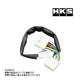 HKS ターボ タイマー ハーネス アトレーワゴン S220G/S230G 4103-RD002 トラスト企画 ダイハツ (213161078