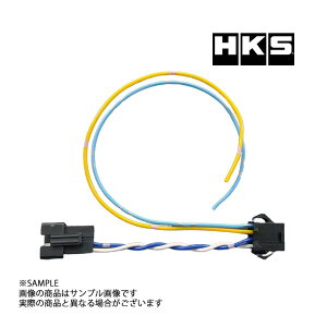 HKS �X�N�����u�� �X�C�b�` �p ���p �n�[�l�X EVC7��p 45999-AK027 (213162018