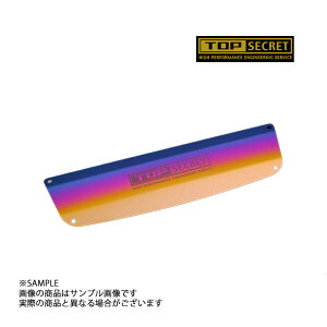 TOPSECRET �G���W���J�o�[ �`�^���v���[�g �u���[�S�[���h�O���f�[�V���� GTR R35 �g���X�g��� (614121002