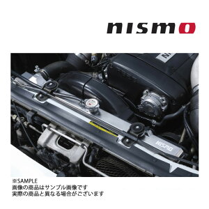NISMO jX 40th LO WG^[ XJCC GT-R BNR32 21400-RS585-40 (660122185