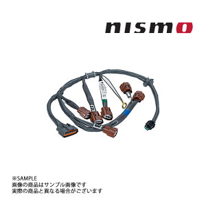 NISMO jX we[W GWTun[lX XJCC GT-R R33/BCNR33 RB26DETT 1995/01- 24079-RHR30 gXg (660122153