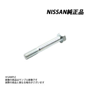 ���Y ���� �{���g�w�N�T�S�� �X�J�C���C�� GT-R BCNR33 08041-0701A (663121748