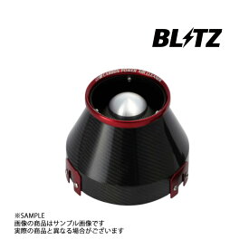BLITZ ブリッツ エアクリ スカイライン ECR33 RB25DET カーボンパワーエアクリーナー 35020 トラスト企画 ニッサン (765121822