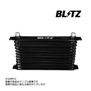 BLITZ ubc [VO ICN[[ Lbg BR VrA S15 SR20DET 1999/1- 10451 gXg jbT (765122114