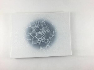 Lc ܕq 235tbgM.GbOVFA(u[ /O[ /O[ /CG[ /sN)y23.5cm M M M pM v[g   F F aH z