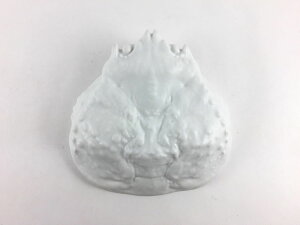 Lc q(d) Ib(/)y14cm I Jj  H M  AȊI̍b̌`Ă܂zyJjM./z