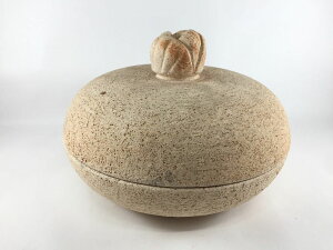 yΉz8z[N(ԃc}~t) 24cm Lc yq